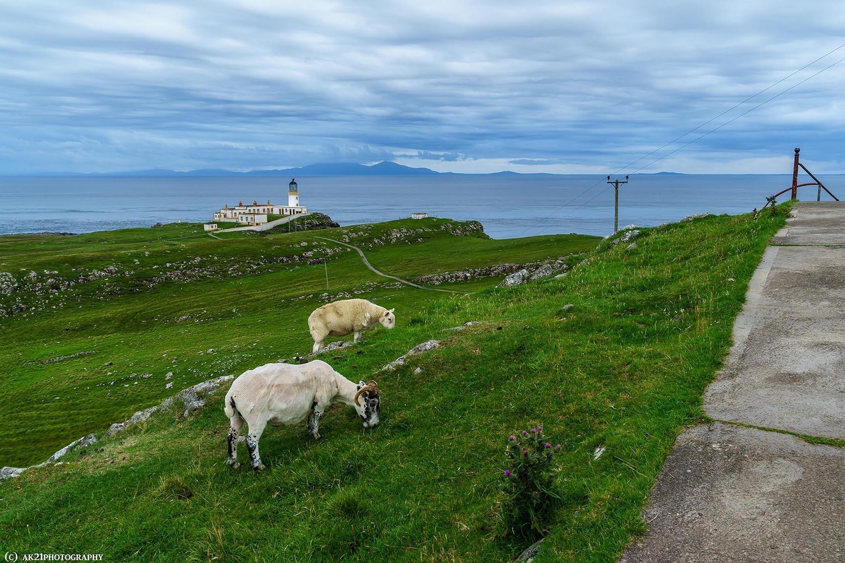 AVOIDING OBSTACLES IN SCOTLAND
